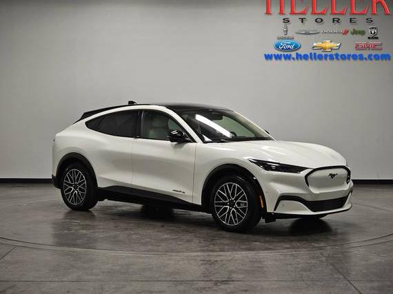 FORD MUSTANG MACH-E 2024 3FMTK3S53RMA22677 image